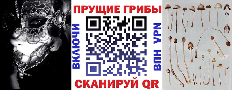 Галлюциногенные грибы Magic Shrooms  Богданович 
